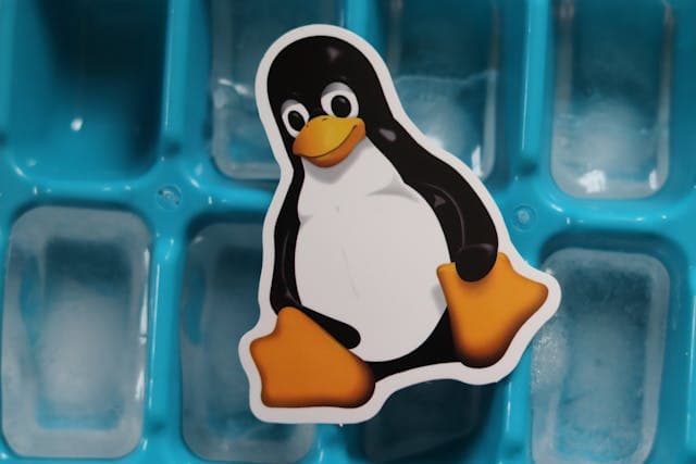 Mengapa Linux Cenderung Lebih Aman daripada Windows?